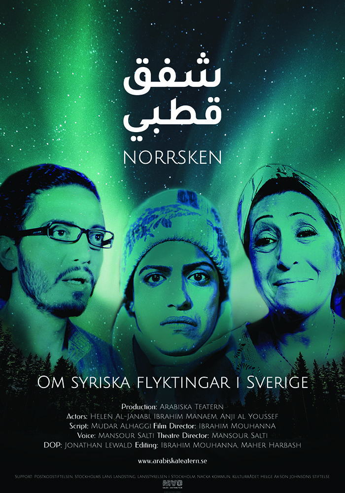 Northern Lights Film